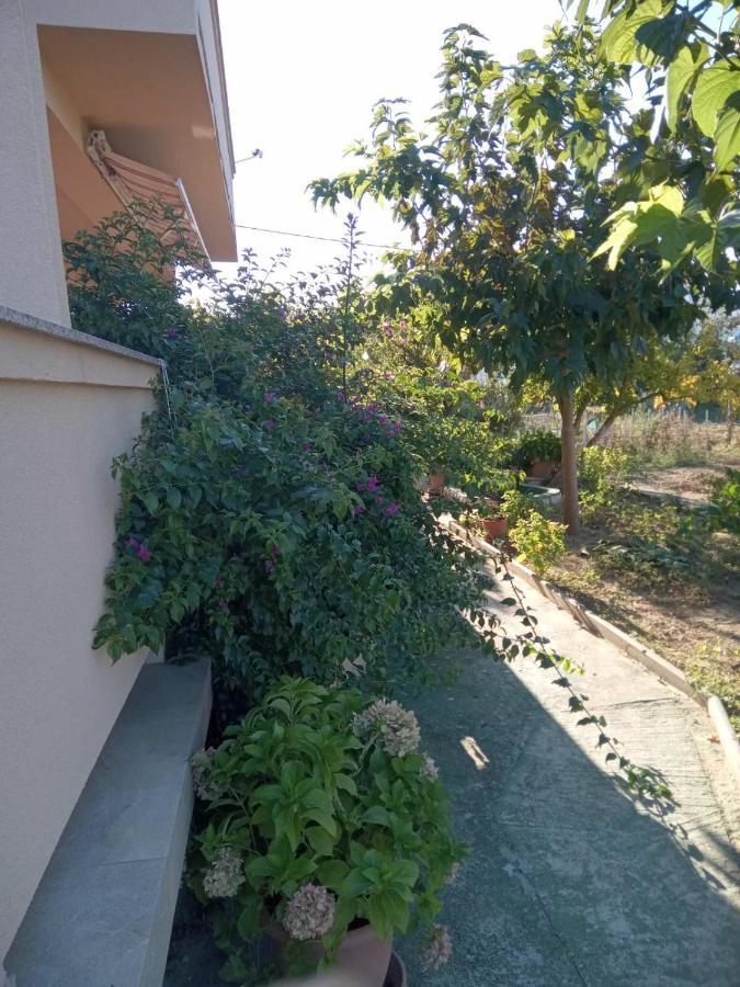 Apartmani Danijela Lopar Extérieur photo