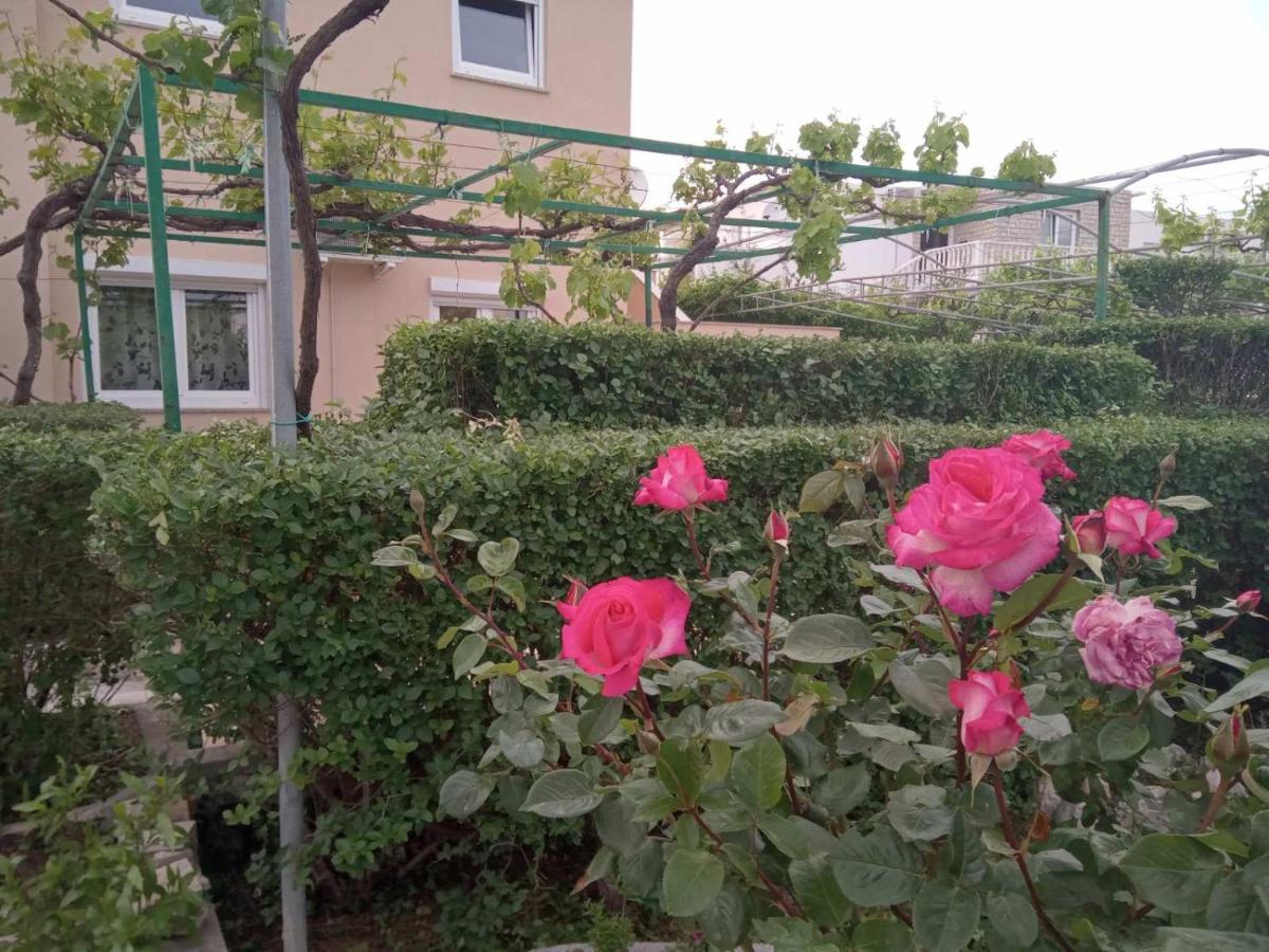 Apartmani Danijela Lopar Extérieur photo